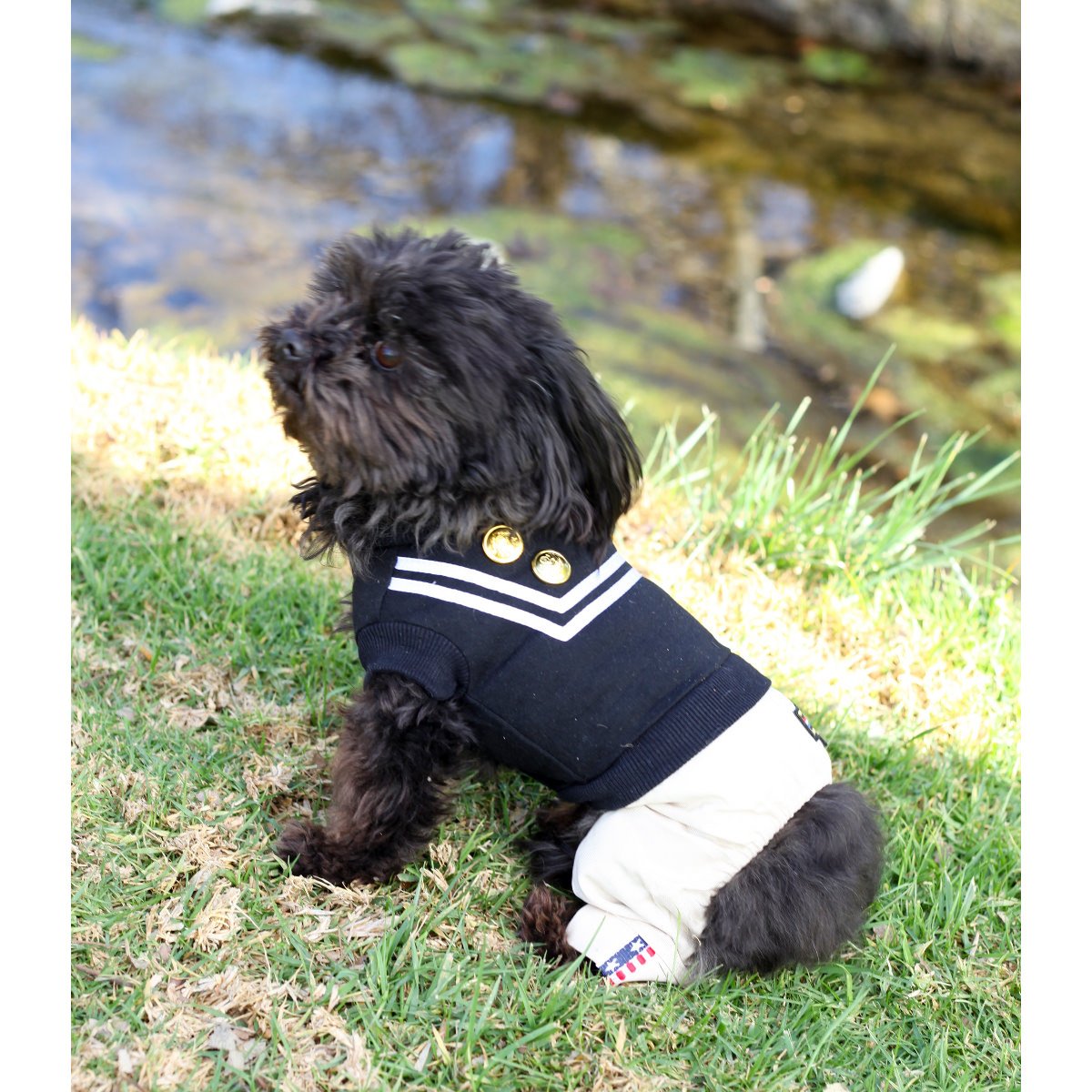 The Saucy Sailor Dog Outfit – Chic Puppy