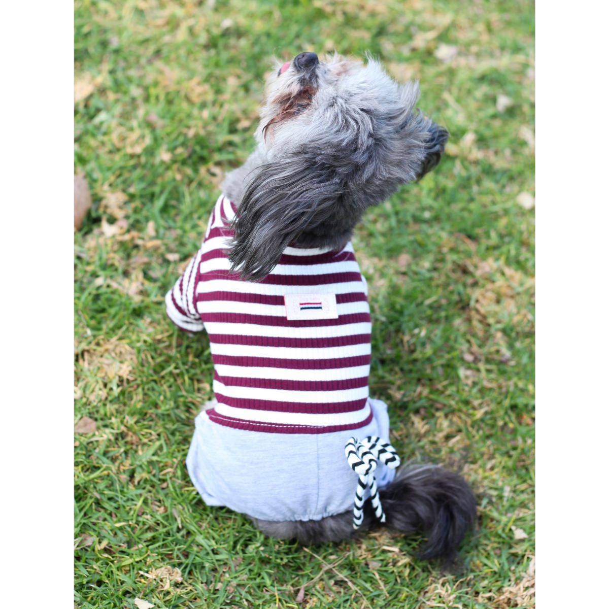 The Saucy Sailor Dog Outfit – Chic Puppy