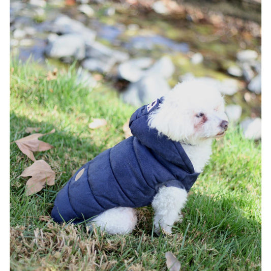 Dog Outfits for Every Spring Occasion