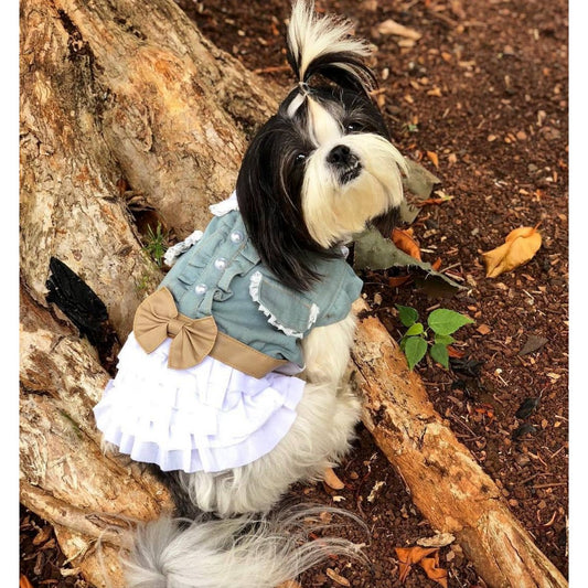 Dog Outfits for Every Spring Occasion