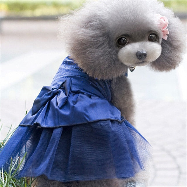 Plush Blue Pet Dog Robe